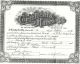 Marriage Certificate for Frank A. Suss and Evelyn A. Mystrom
